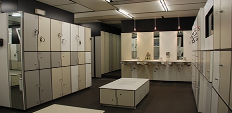 Decorativos